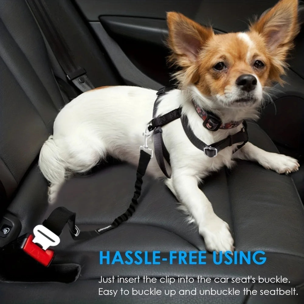 Dog harness fitting small breed in car back seat. Secure pet travel accessory for vehicles. Model scale for product dimension